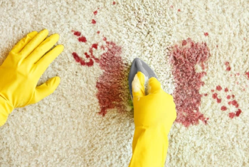 Carpet Stain Removal